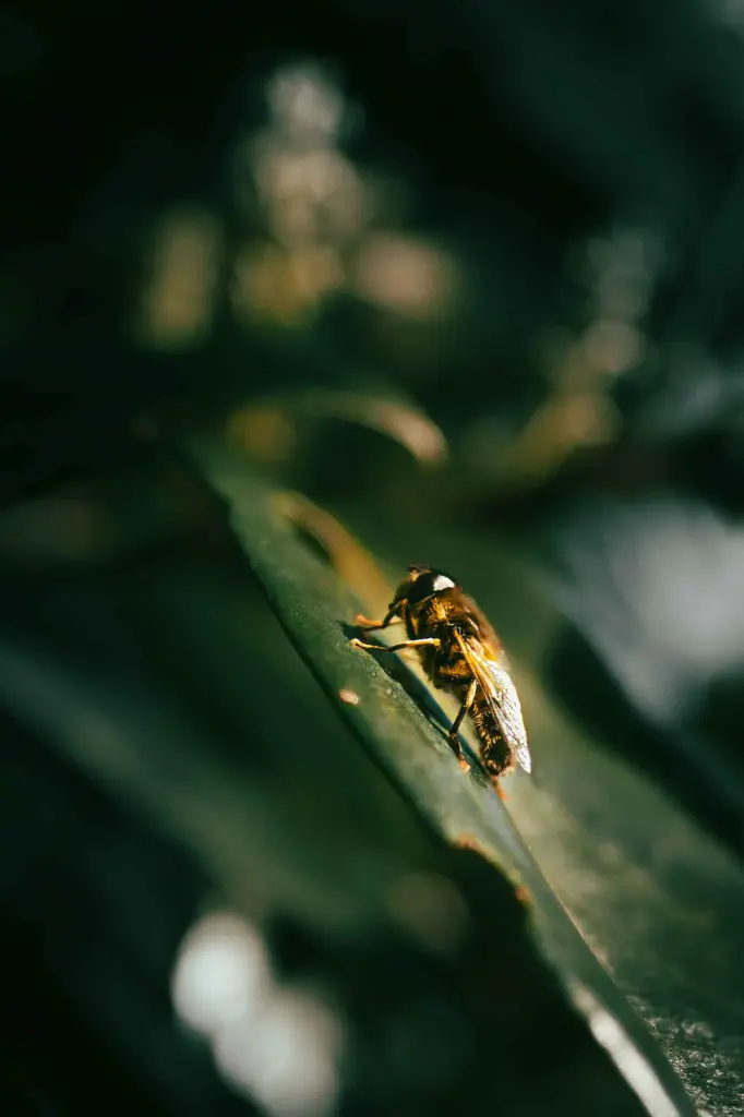 Éloge à la discrétion