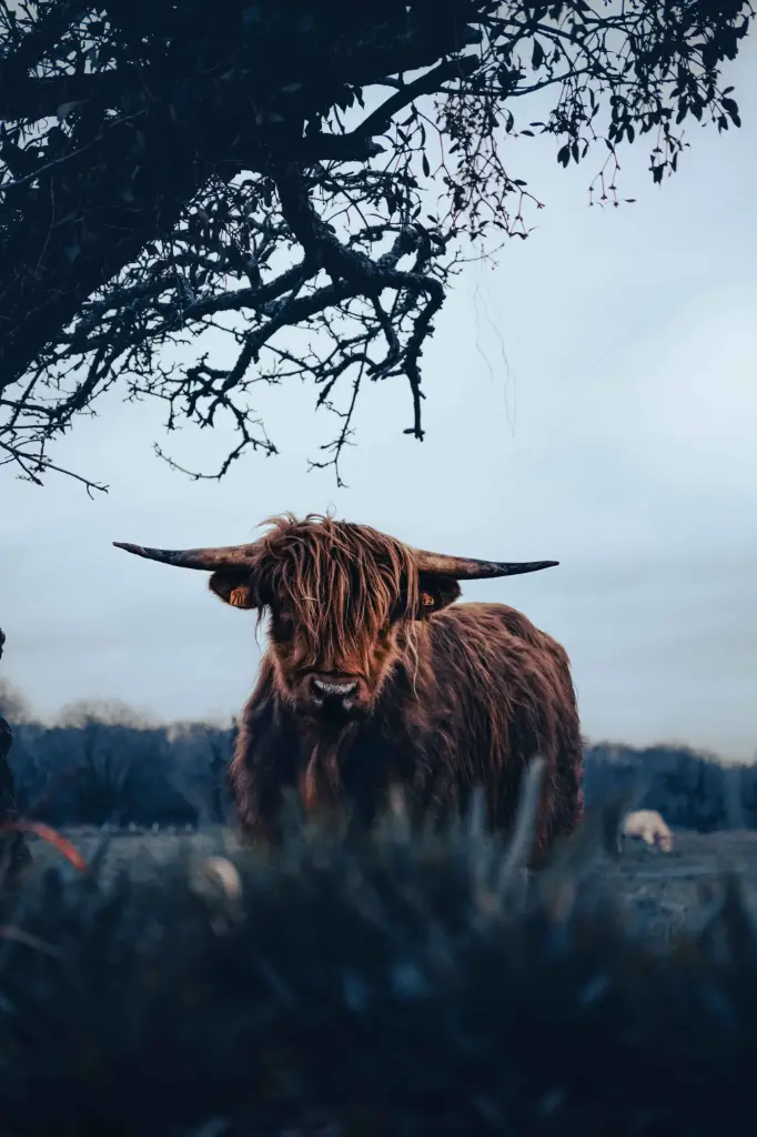 Patience récompensée