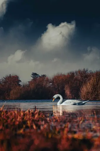 Éclat dans l'obscurité