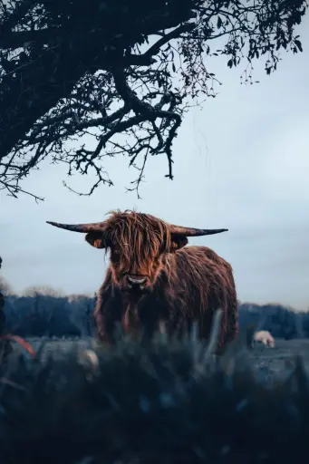 Patience récompensée